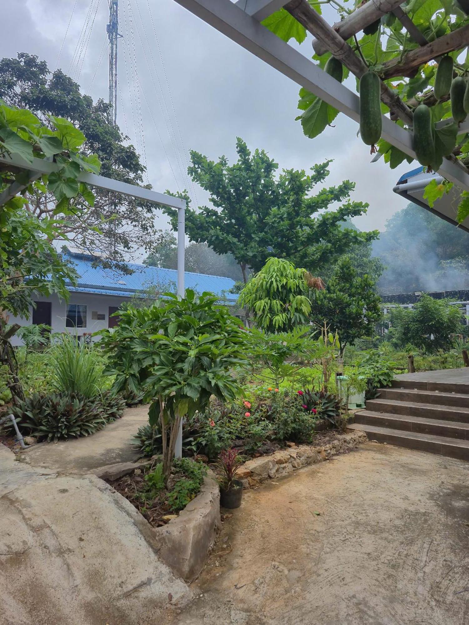 Bungalow Hotel Chi Khu Co Ong Zewnętrze zdjęcie
